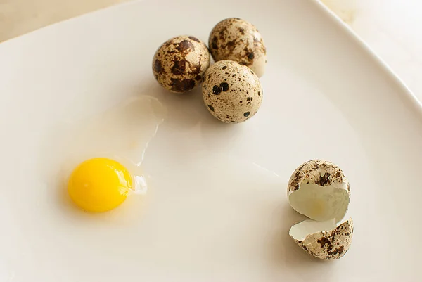 Ovos de codorniz frescos — Fotografia de Stock