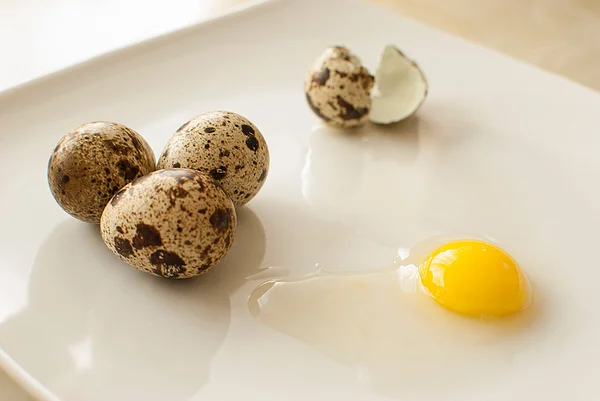 Fresh quail eggs Stock Picture