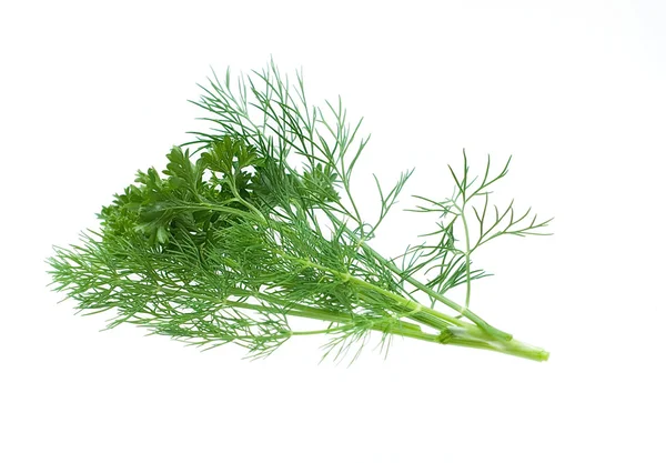 Knippe gröna dill, isolerade över vit bakgrund — Stockfoto