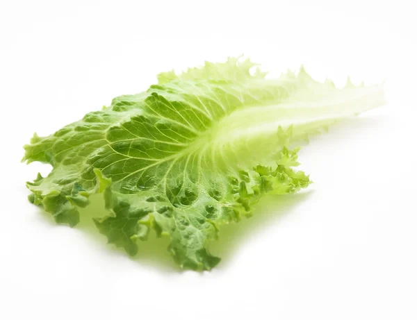 Verduras frescas (ensalada, lechuga) aisladas sobre fondo blanco . — Foto de Stock