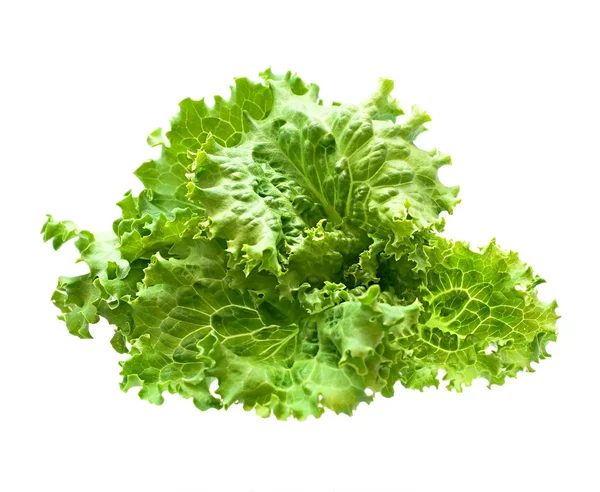 Hoja de ensalada. Lechuga aislada sobre fondo blanco — Foto de Stock