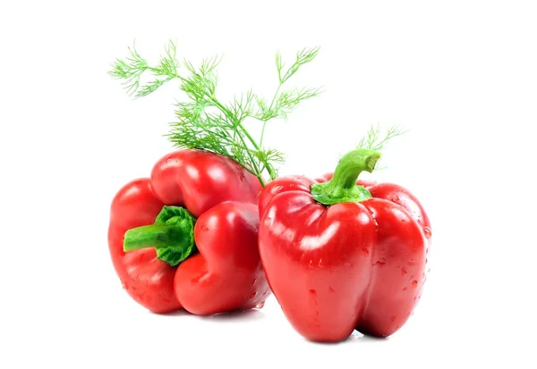 Paprika — Stockfoto