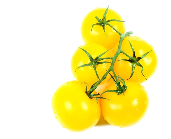 Tomate amarillo —  Fotos de Stock