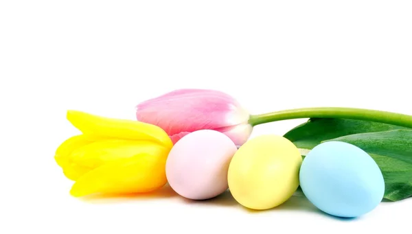 Easter telur dan bunga — Stok Foto
