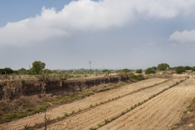 Kurak Meksika manzara