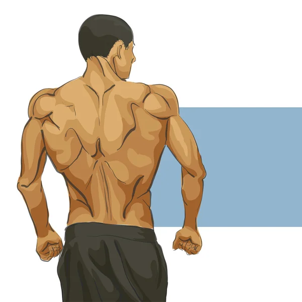 Cuerpo del hombre muscular — Archivo Imágenes Vectoriales