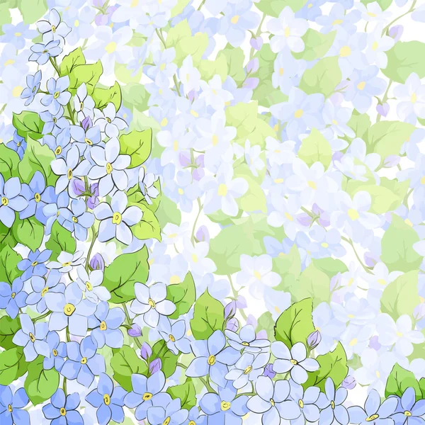 Forget me not background — Stock Vector