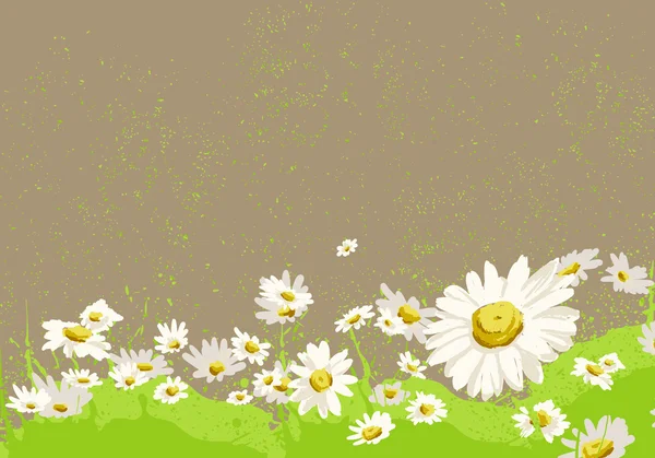 Bright chamomile field — Stock Vector