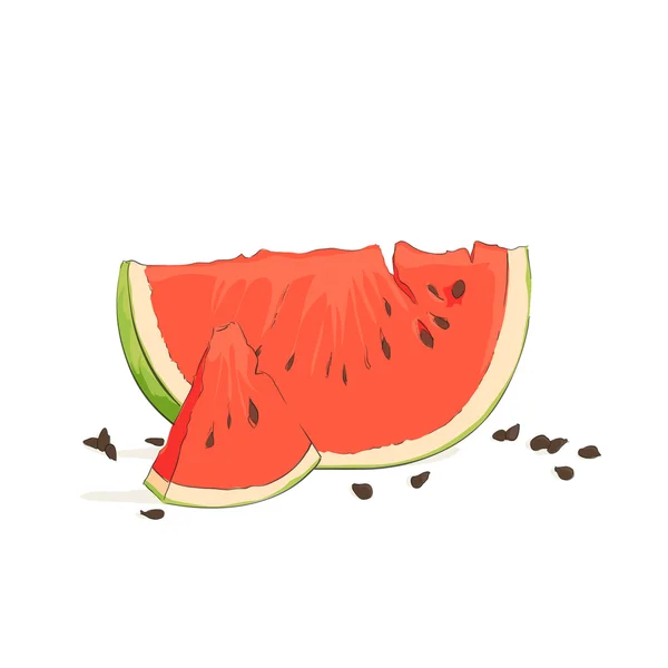 Refreshing watermelon pieces — Stock Vector