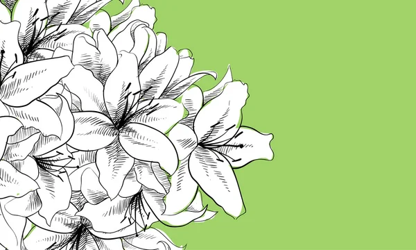 Illustration florale — Image vectorielle