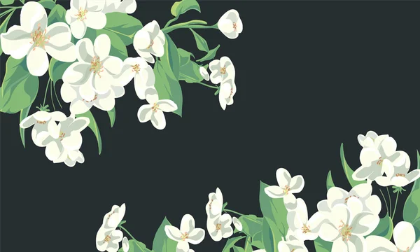 Ilustração floral — Vetor de Stock