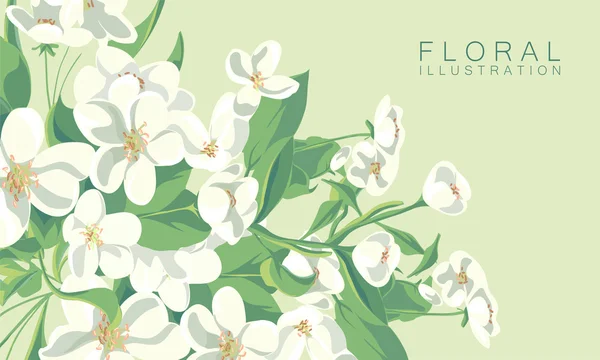 Ilustração floral — Vetor de Stock