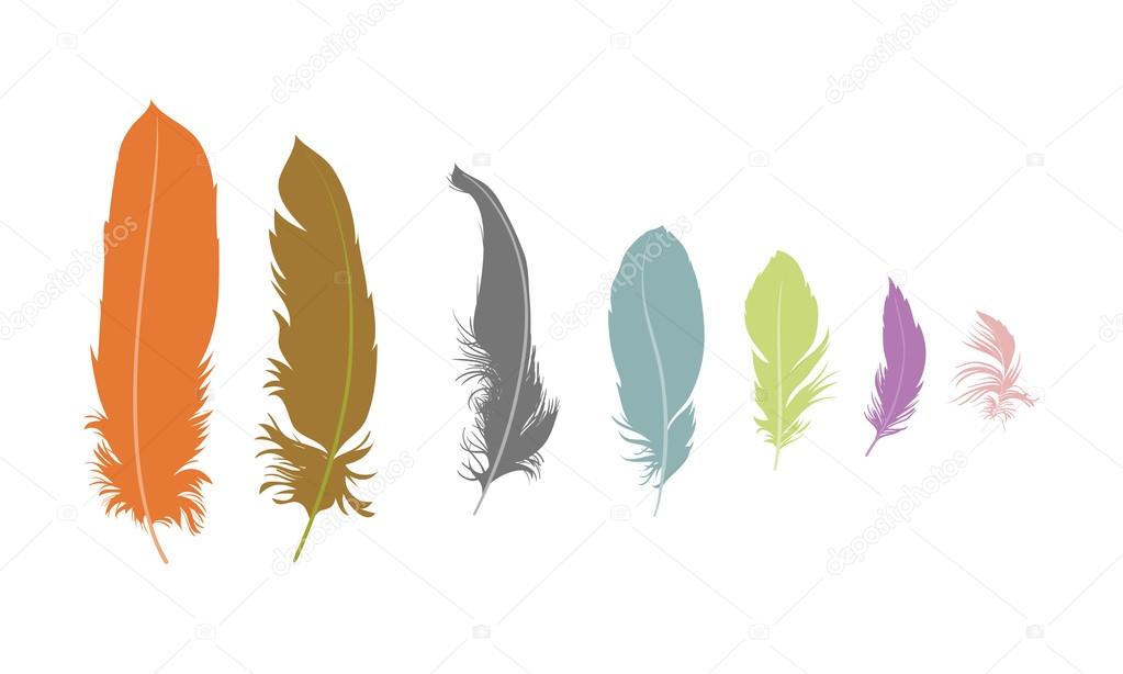 feathers