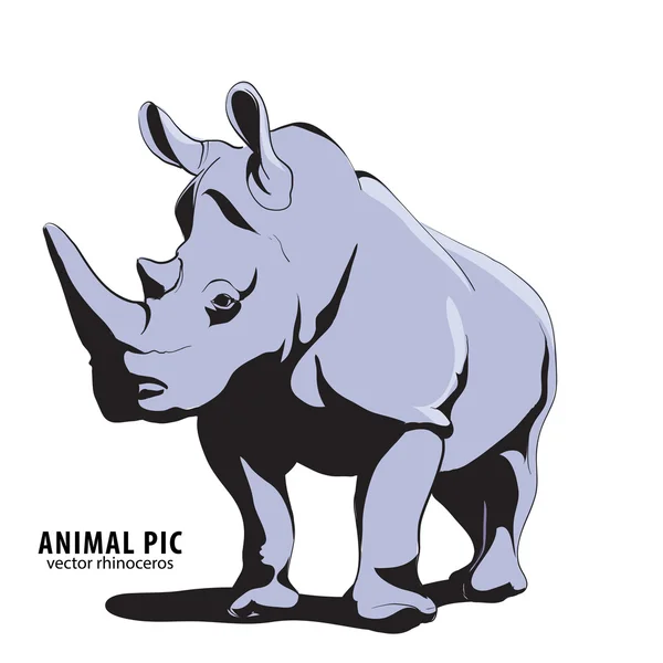 Illustratie van rino — Stockvector