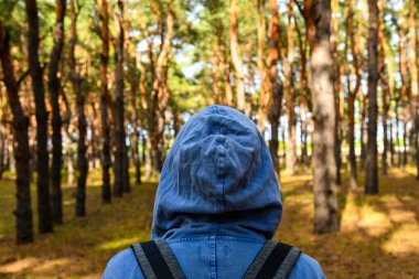 Evergreen Pine Ormanı 'nda sırt çantası ve kapüşonlu bir turist. Seyahat, eko-turizm, ekoloji konsepti, kapüşonlu ve kozalaklı ağaçlar içinde bir kaşifle doğal arka plan.