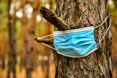 Ağaçta cerrahi maske. Gezegenin kirliliği. Coronavirüs salgınının başlamasından sonra COVID-19 'a karşı koruma araçları çevreyi kirletmeye başladı..