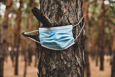 Ağaçta cerrahi maske. Gezegenin kirliliği. Coronavirüs salgınının başlamasından sonra COVID-19 'a karşı koruma araçları çevreyi kirletmeye başladı..