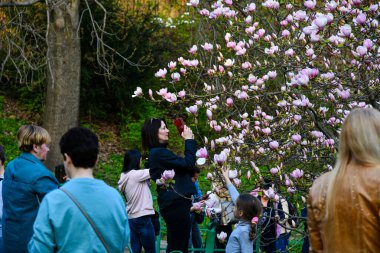 Kyiv, Ukrayna - 11 Şubat 2021: Kyiv 'deki karantina kısıtlamaları sona erdi. Yerel halk parkları ve manolyaların çiçek açtığı botanik bahçelerini ziyaret ediyor..