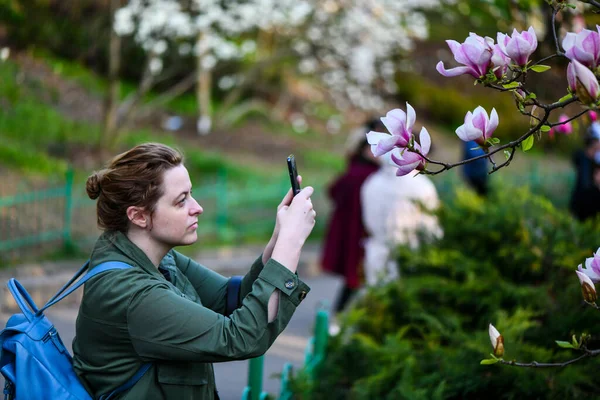 Женщина Фотографирует Цветущих Магнолий Весеннем Парке — стоковое фото