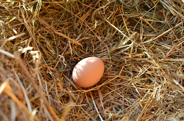 Egg on a straw, Easter theme — Stock Photo, Image