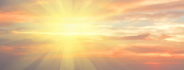 Panoramik cennet, cennet gibi doğal arka plan kopya alanı ile