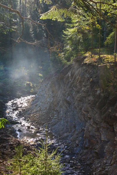 Maniavka Nehri, Karpat Dağları, Ukrayna. Dağ bahar, sis ve kayalar — Stok fotoğraf