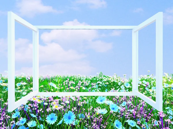 Hermosa pradera de margaritas y flores azules desde la ventana —  Fotos de Stock