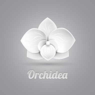 Çiçek logo vektörü