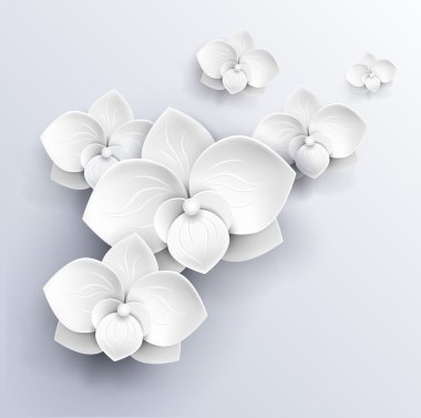 paper flowers background - white orchids vector illustration