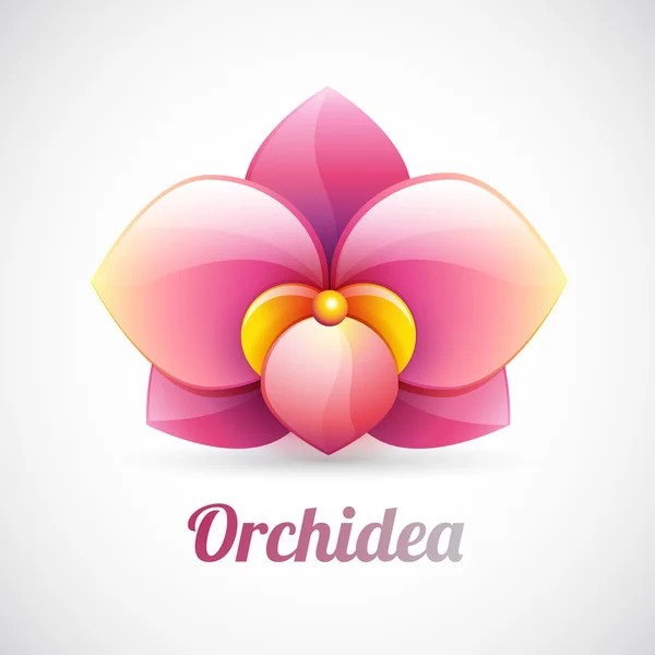 Flower logo - pink orchid flower shape - vector icon isolated on — Stock Vector