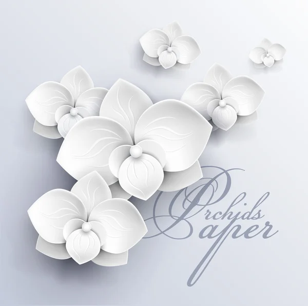 Paper flowers background - white orchids vector illustration — Stock Vector