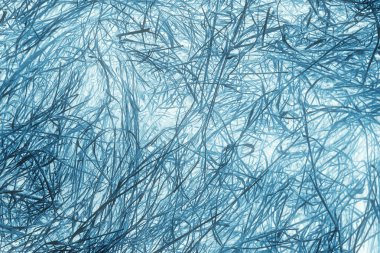 kurutulmuş çim dokusu