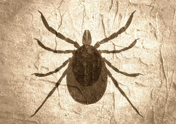 Silhouette of Tick parasite. Sketch of Mite — Stock Photo, Image