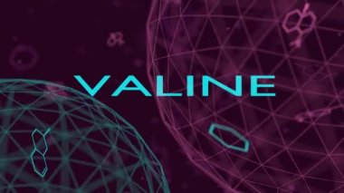 Spor beslenme konsepti