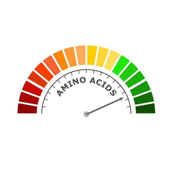 Conceito de nutrição desportiva —  Vetores de Stock