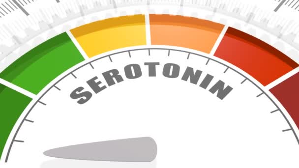 Serotoninspiegel im Hormon. — Stockvideo