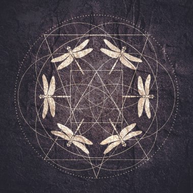 Yusufçuk simgesi resmi