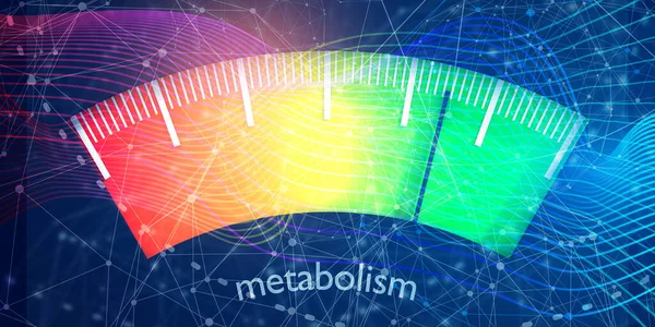 Konsep Tingkat Metabolisme — Stok Foto