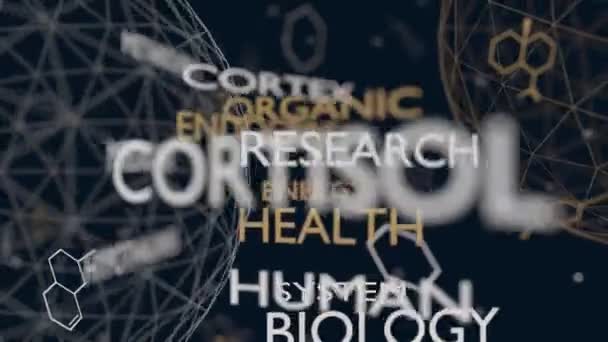 Hormone stéroïde cortisol — Video