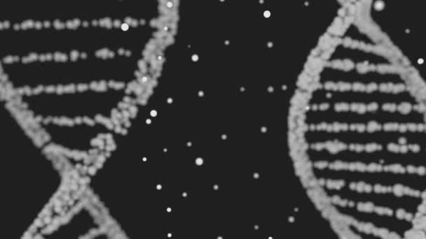 Podwójna spirala DNA — Wideo stockowe