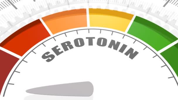 Nivel de serotonina hormonal. — Vídeo de stock