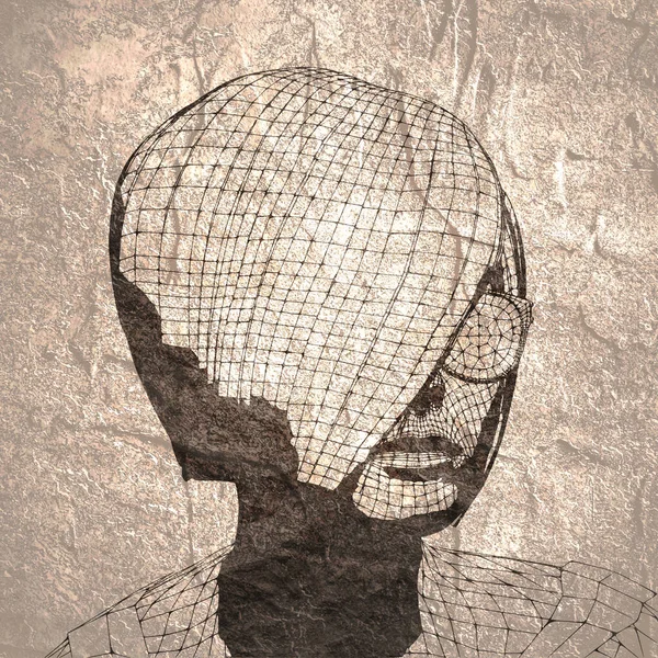 Голова женщины — стоковое фото