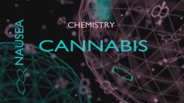 Tıbbi marijuana konsepti