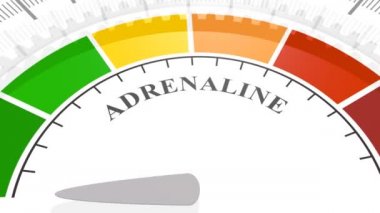 Hormon adrenalin seviyesi .