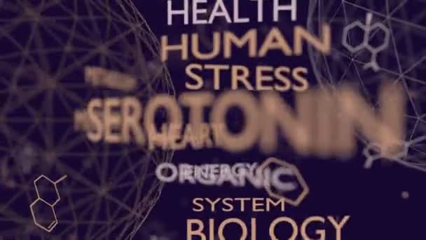 Etiquetas de serotonina hormonal. — Vídeo de stock