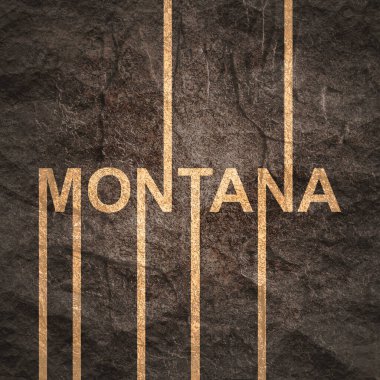 Montana eyaletinin adı.