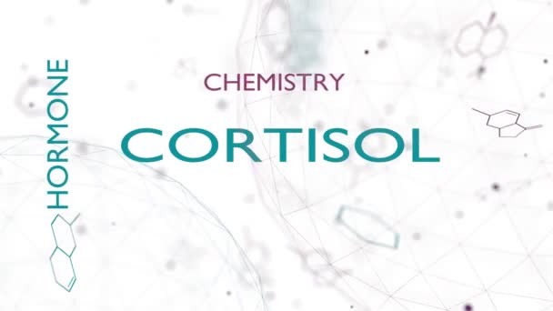 Kortisol hormon steroid — Stok Video