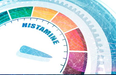 Histamin ölçüm süreci