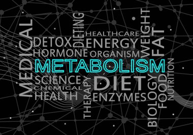 Metabolizmanın kelime bulutu. İnsan sağlığı kavramı