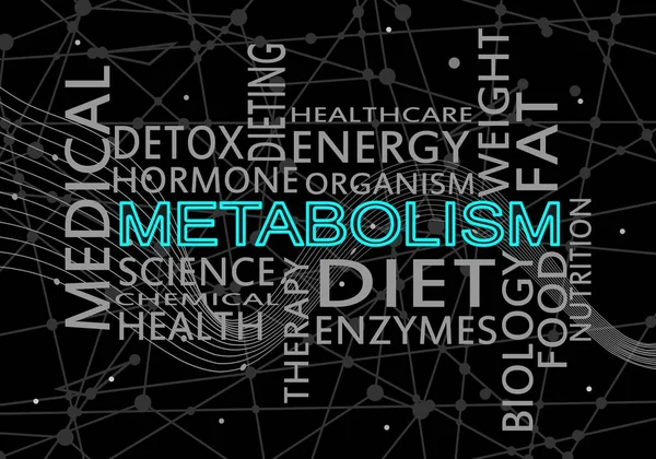 Metabolizmanın kelime bulutu. İnsan sağlığı kavramı